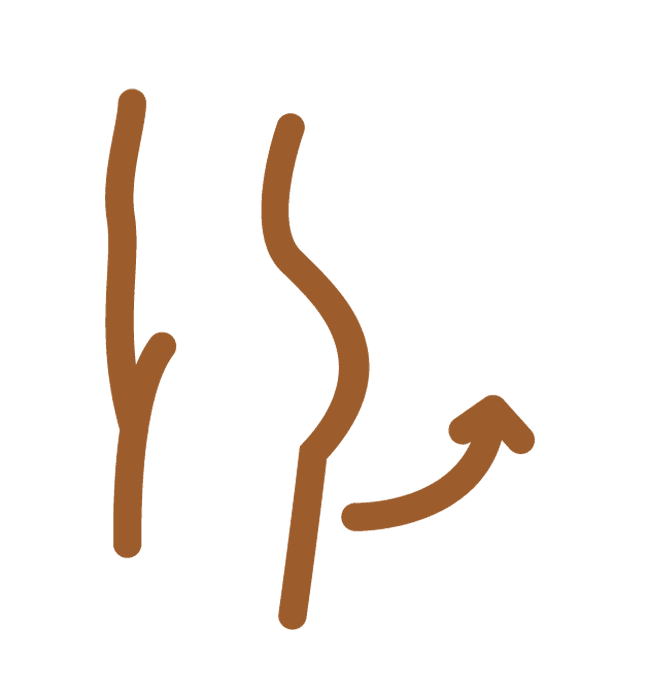 b-icono-bienestar-corporal
